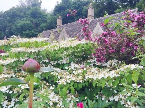 遛鸟大师娱乐吃瓜君,揭秘娱乐圈幕后趣闻 第3张 遛鸟大师娱乐吃瓜君,揭秘娱乐圈幕后趣闻 第3张