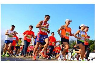 娱乐吃瓜酱鸭子跑马拉松,吃瓜酱鸭子跑马记  第2张