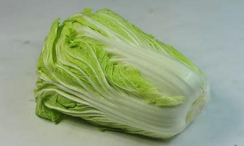 娱乐吃瓜姐白菜,白菜带你领略娱乐圈的瓜田乐趣 第3张 娱乐吃瓜姐白菜,白菜带你领略娱乐圈的瓜田乐趣 第3张