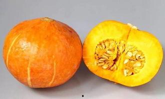 吃瓜百科.cc,吃瓜百科.cc带你领略明星幕后故事  第2张