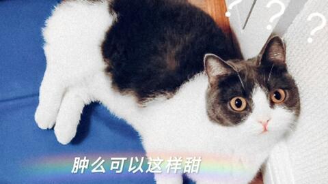 娱乐吃瓜君爆料遛鸟,遛鸟背后的明星趣事大揭秘 第2张 娱乐吃瓜君爆料遛鸟,遛鸟背后的明星趣事大揭秘 第2张